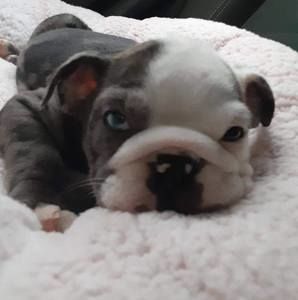 Meet your Posher, Kimberly